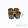 carnival 11 2b72c26a80c741d1b4838e95751692da