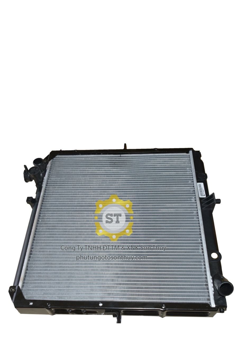 Két nước Hyundai 1T25 253004B810